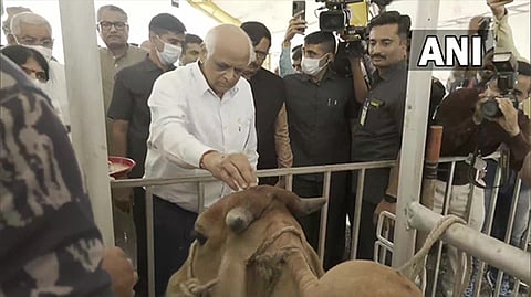 Gujarat CM Bhupendra Patel whike visiting lumpy virus vaccination centre