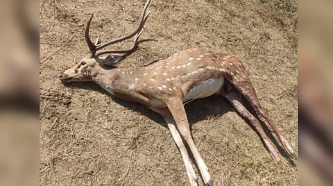 Representative Image