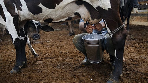 Representative image