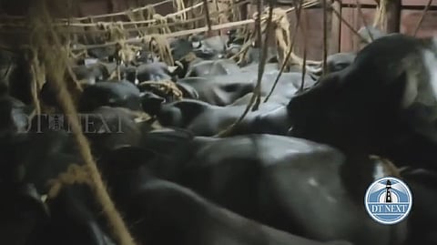 Screengrab from the video