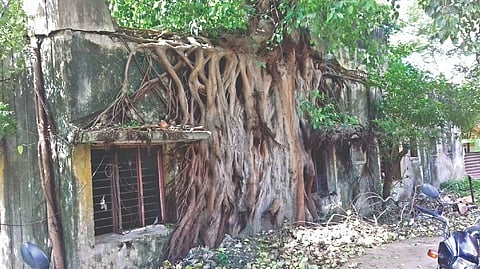 TNHB buildings haven for anti-socials in Mathur MMDA