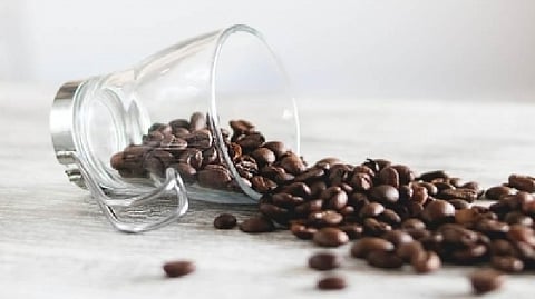 Coffee is all you need!