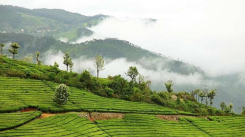 Nilgiris, Conoor win award for 'Best Mountain and Hill Views'