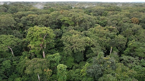 Representative Image