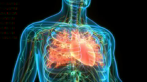 Representative image