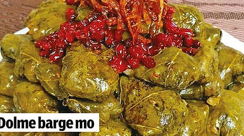 Dolme barge mo