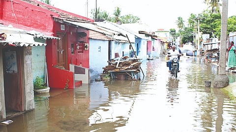 Houses flooded by surging Cauvery waters at Bhavani in Erode district on Wednesday