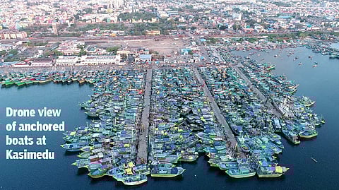 Met warnings leave fishers ‘at sea’ 79 out of 89 days