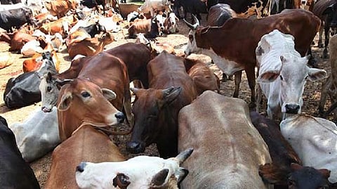 Representative image