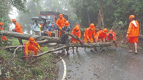 NDRF personnel removing a fallen tree in Kundah in The Nilgiris on Friday