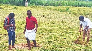 Farmers inspecting the submerged paddy at a field in Nemili Taluk in Ranipet district