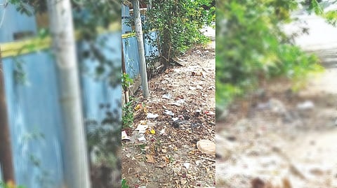 Irresponsible disposal of waste plagues Chitlapakkam