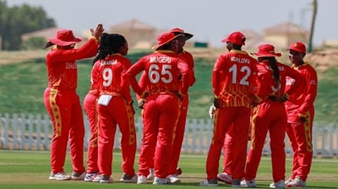 Zimbabwe players