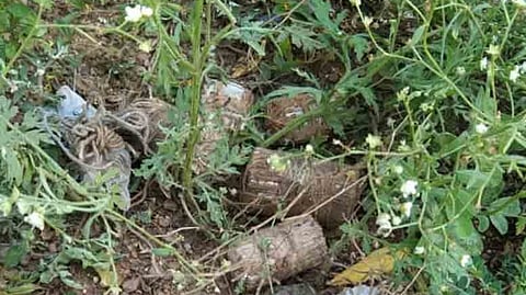 Representative image