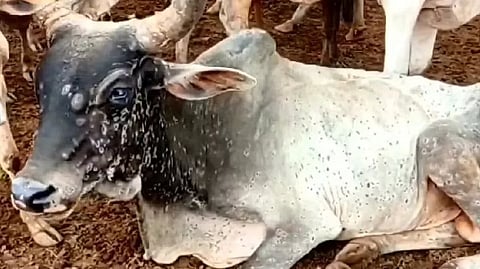 Representative image