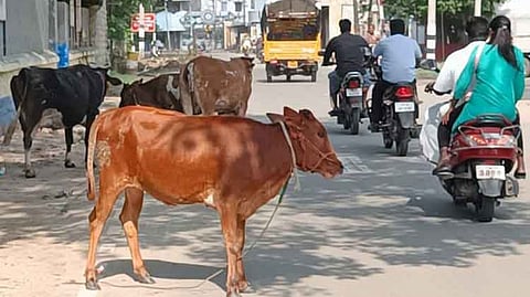 Representative image