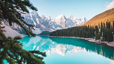 Representative image