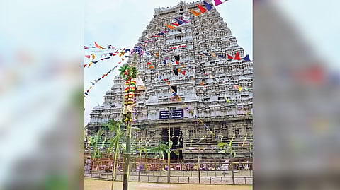 Tiruvannamalai temple