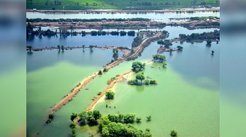 Representative Image