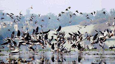 Representative Image