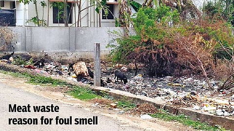 Illegal dumping of meat waste raises a stink in Iyyapanthangal