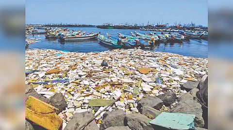 This file photo from Kasimedu fishing harbour shows a large volume of waste strewn in the sea posing threat to marine animals.