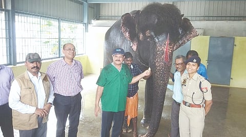 Team from Assam inspects Joymala in Srivilliputhur