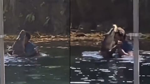 Screengrab of the video