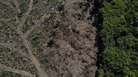 An aerial view shows a deforested plot of the Amazon rainforest in Manaus, Amazonas State, Brazil