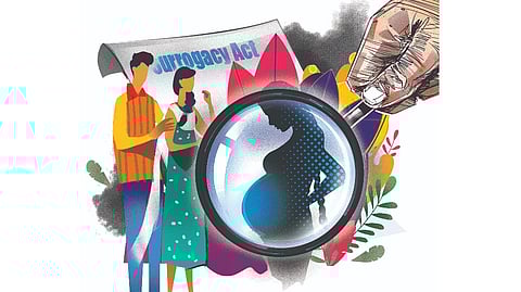 Advocates noted that the local healthcare infrastructure must be developed and well-equipped to support surrogacy-related cases effectively.