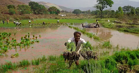 Representative Image