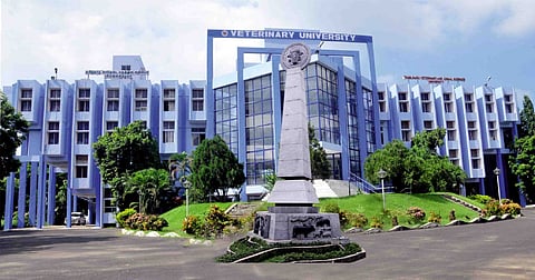 Tamil Nadu Veterinary and Animal Sciences University