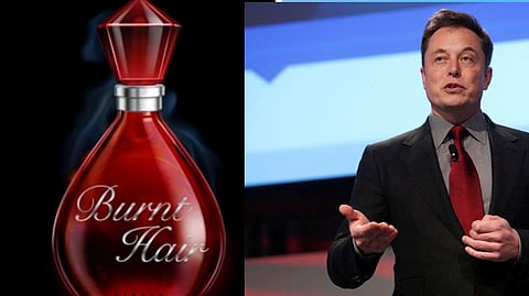'Burnt Hair' perfume, Elon Musk