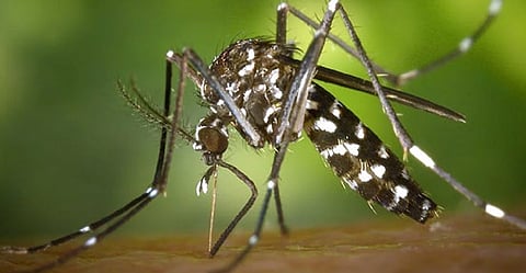 Representative Image