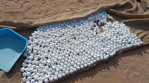 Shells are kept out to be dried at Gandhi Sea Shell Mart