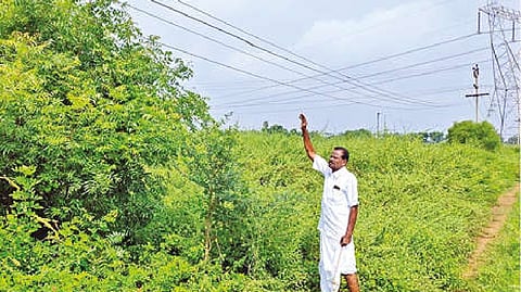 A farmer pointing to the low-running power lines at is farm in Tiruvallur on Friday.