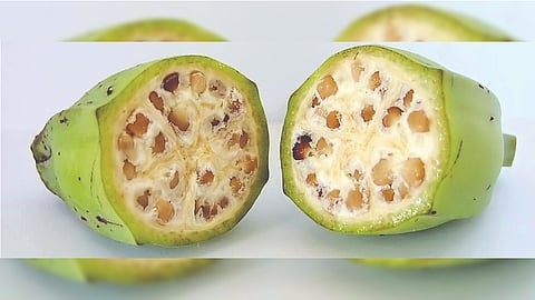 Representative image