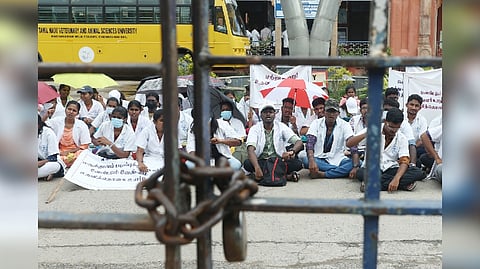 Veterinary students stage protest