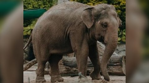 Representative Image