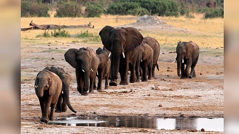 Representative Image