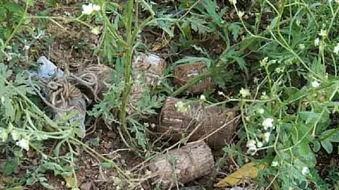 Representative image