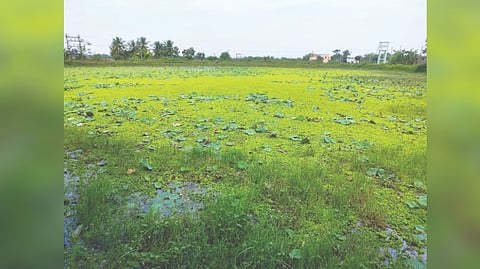 Athigathur pond