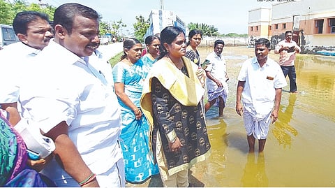 Collector R Lalitha inspecting inundated localities in Mayiladuthurai on Wednesday