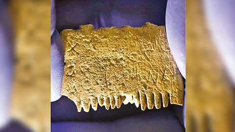 An ancient people’s oldest message: Get rid of beard lice