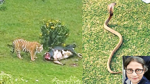 (inset) Bhama Devi Ravi