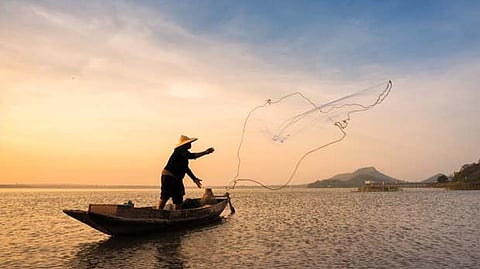 Representative image