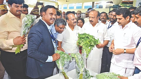 Karur to get moringa park in 10 acres soon: Agri Minister