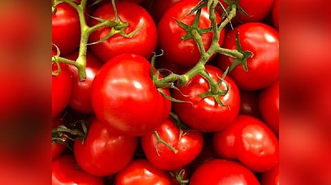 Representative image