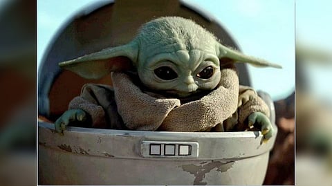 Baby Yoda