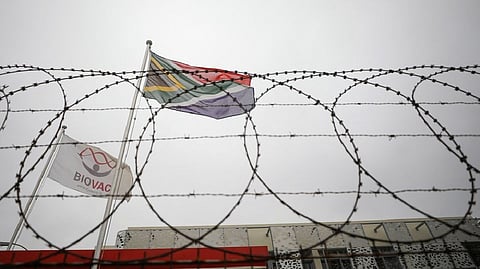 A South African flag flies beside a flag bearing the logo of the local vaccine manufacturing and storage company Biovac outside the company's offices in Cape Town